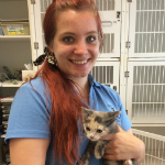 Hannah Beesley The Cat Clinic