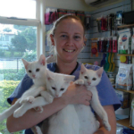 Heather Windle The Cat Clinic Nurse