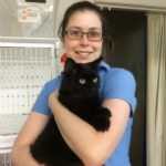 Ellen Young The Cat Clinic Vet Nurse